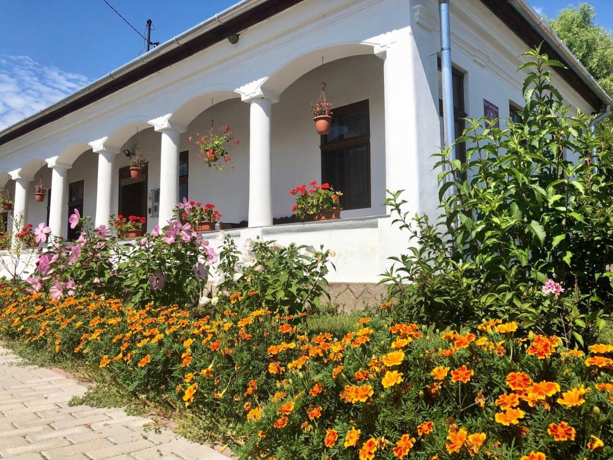 Heni Vendeghaza Hotel Vadna Exterior photo